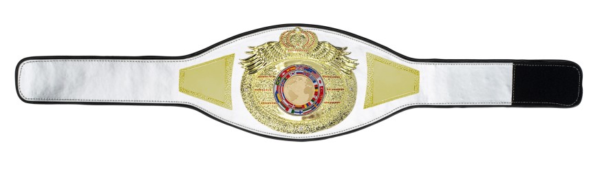 *NEW* PROICON CHAMPIONSHIP BELT/G/WHTGEM - AVAILABLE IN 6+ COLOURS